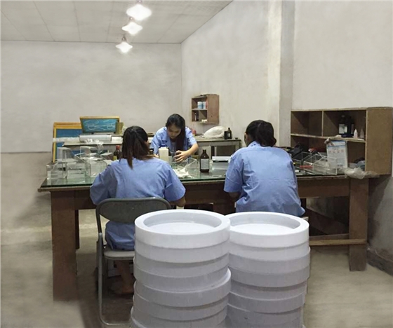 展示柜有機(jī)工藝區(qū)