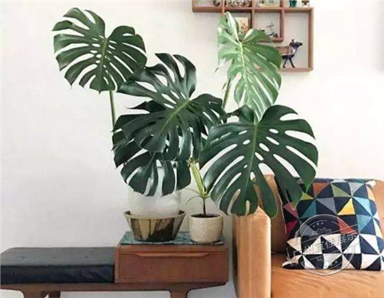 合肥化妝品展柜廠家 合肥化妝品展柜廠家