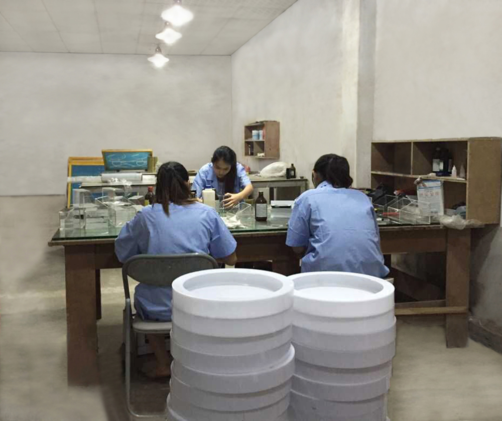 展示柜有機(jī)工藝區(qū)