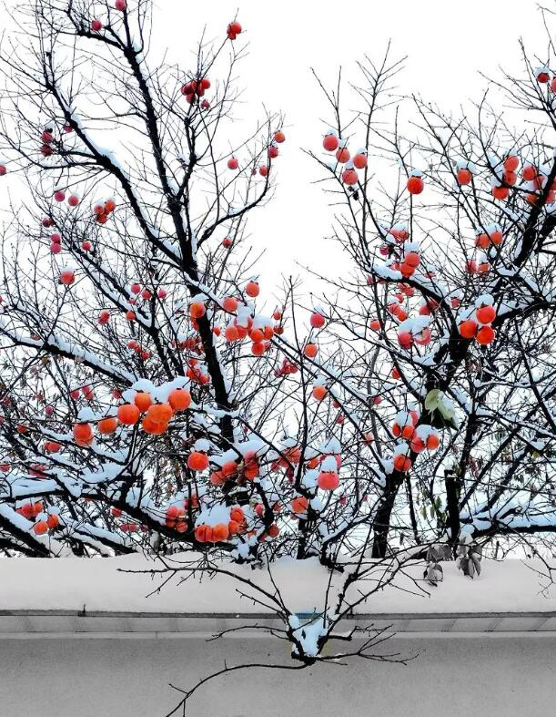 宜佳展柜祝大家冬至快樂