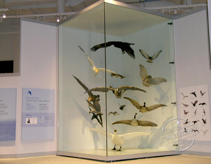 博物館展柜