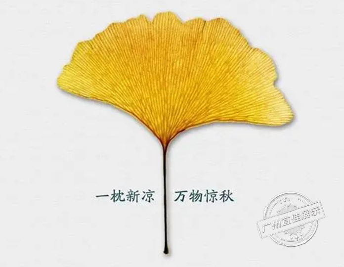 商場(chǎng)展柜廠家